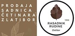 Rasadnik Rudine Zlatibor - Sadnice
